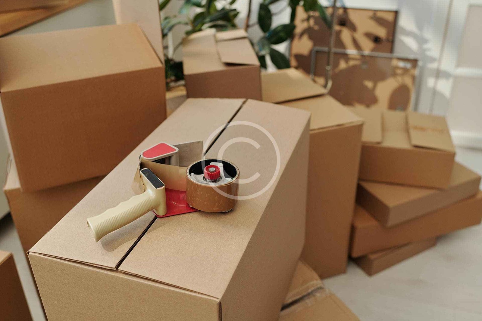 Same-day delivery